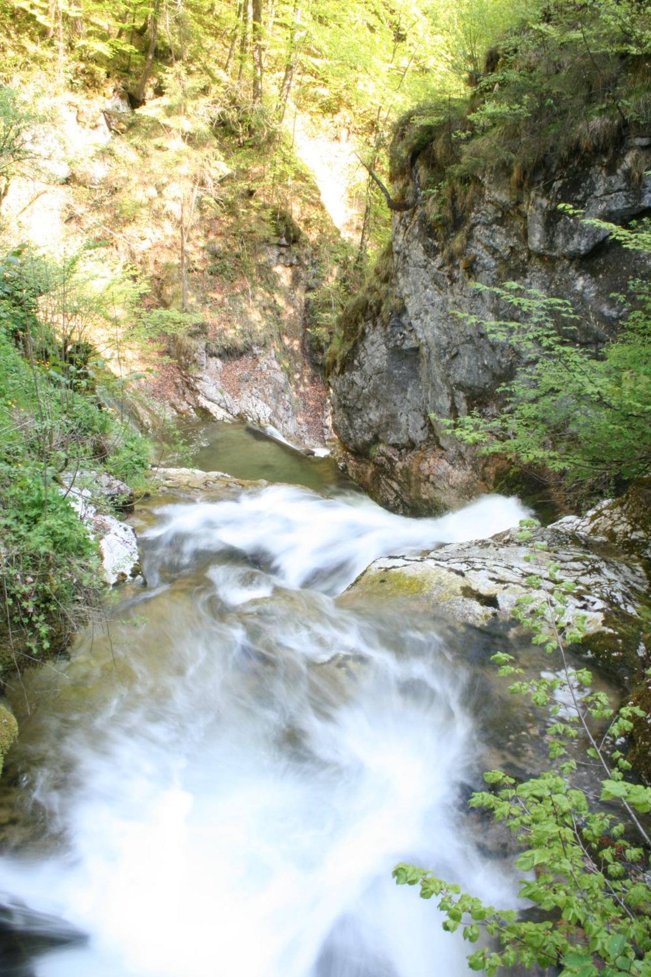 Hupfmuehle Pension Saint Wolfgang Eksteriør billede